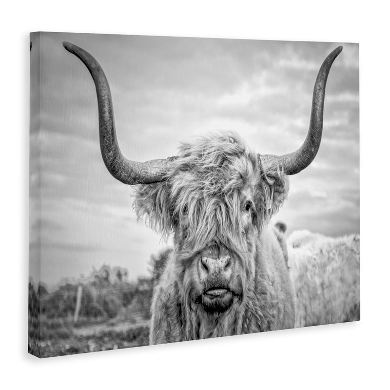 Stupell Industries Black and White Highland Cow Photograph Canvas Wall Art Design By Joe Reynolds 24 x 30 - Image 3